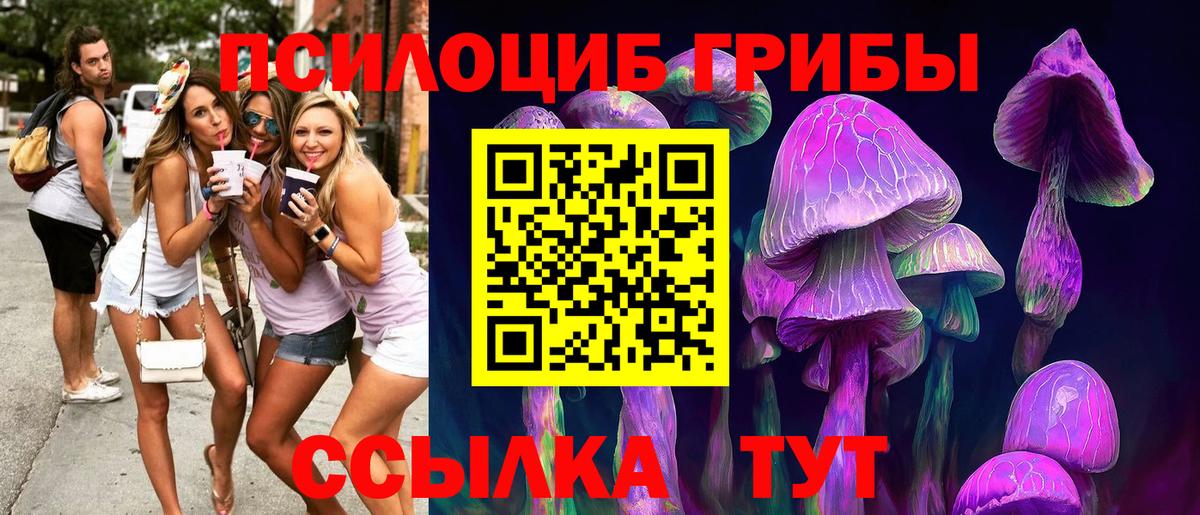 Галлюциногенные грибы Cubensis Усинск