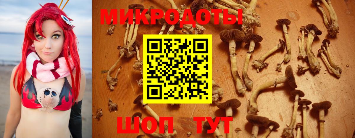 Усинск  наркошоп  Вход с VPN  Псилоцибиновые грибы Psilocybine cubensis  Псилоцибиновые грибы Magic Shrooms 